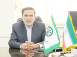 اجرای طرح پایلوت تغذیه گندم در استان همدان