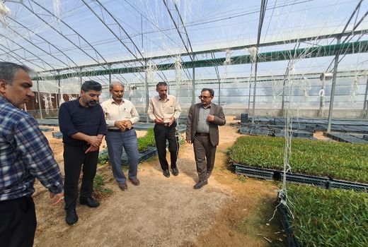 طرح ۱۱۰۴ هکتاری شهید باغبانی، نمونه‌ای از اراضی ملی واگذار شده