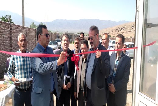 تولید سالانه 9 هزار تن محصول سبزی و صیفی از گلخانه‌های شهرستان مرند 