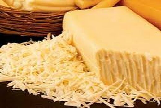 شهرستان میاندوآب به زودی قطب تولید پنیر پیتزای شمال غرب کشور می شود