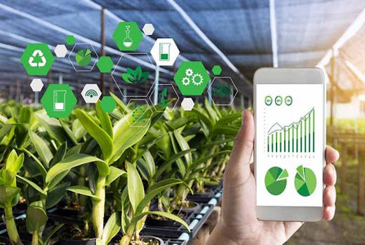 افزایش بهره وری 40 درصدی با هوشمند سازی بخش کشاورزی