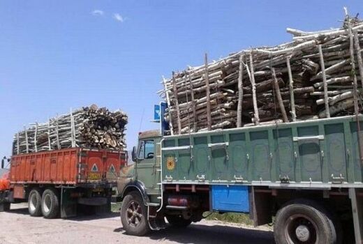کشف و ضبط محموله یک و نیم تنی چوب غیرمجاز در شهرستان بندرعباس