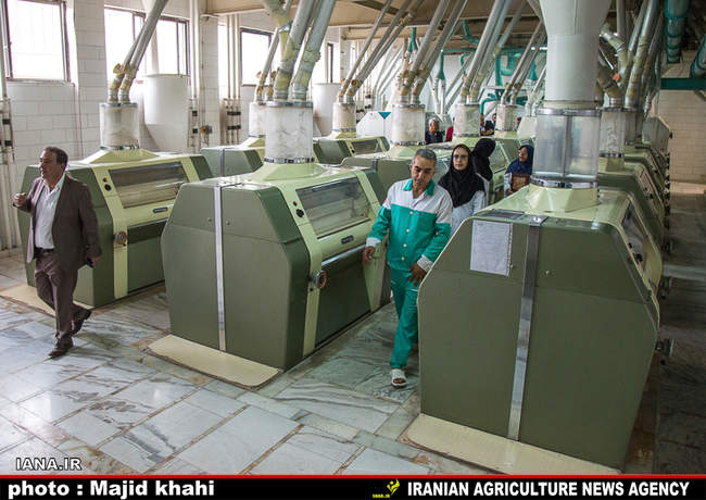 بازدید از کارخانه آرد