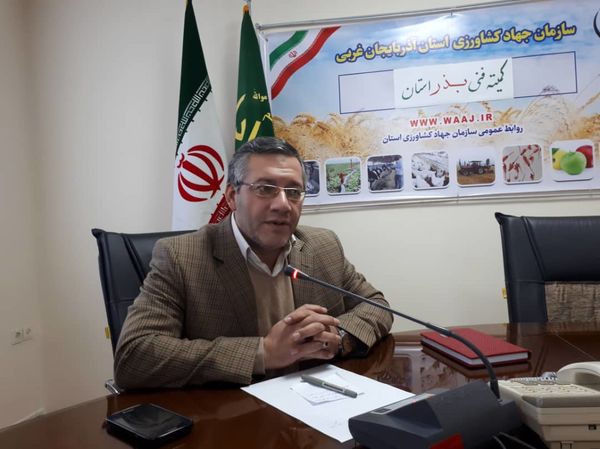  افزایش بیش از 30درصدی تولید با استفاده از بذور اصلاح شده