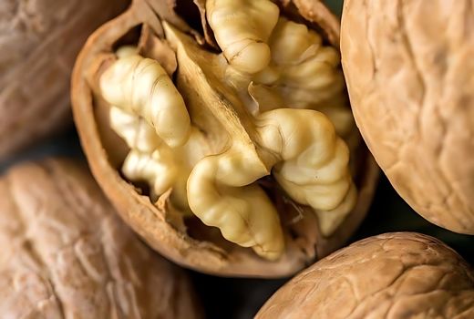 گردوی آذربایجان‌شرقی در مسیر ارزآوری؛ محصولی کوچک با نقشی بزرگ در اقتصاد غیرنفتی