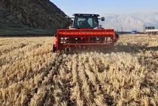 کشت گندم با  دستگاه 