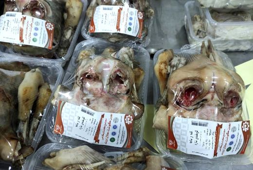 اجرای طرح بسته بندی آلایش خوراکی دام در کشتارگاه صنعتی بهین گوشت حلال اروند