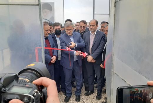 افتتاح یک واحد گلخانه توت فرنگی در شهرستان اشتهارد 