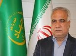 پیش‌بینی ۵۰ درصدی جهش تولید در کشت گلخانه‌ای