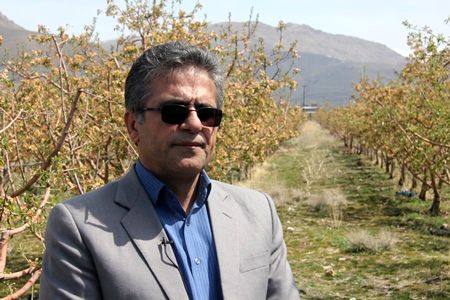 تجهیز 65 درصد از اراضی کشاورزی استان به سامانه های نوین آبیاری