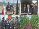 بهره برداری همزمان 10 واحد گلخانه ای خوسف 