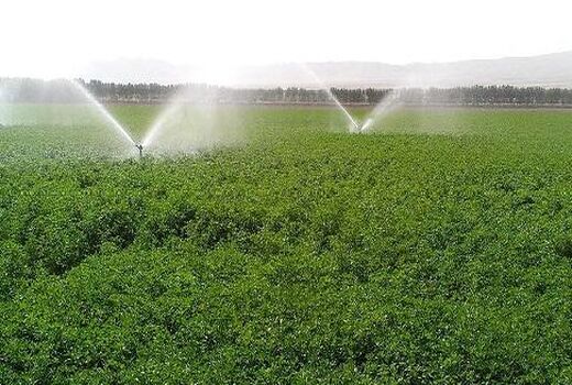 تجهیز بیش از ۱۳ هزار هکتار از اراضی کشاورزی گیلان به سامانه های نوین آبیاری
