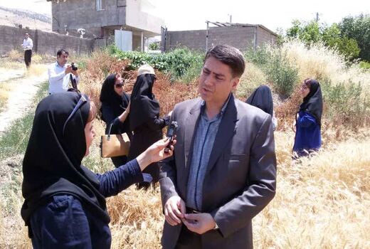 خرید توافقی ۳۰ هزار تن گندم توسط بخش خصوصی در یک ماه اخیر