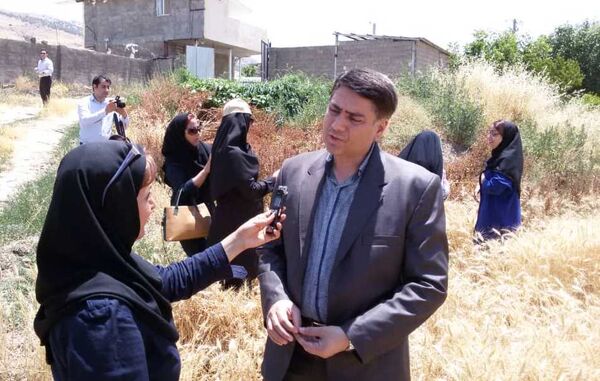 خرید توافقی ۳۰ هزار تن گندم توسط بخش خصوصی در یک ماه اخیر