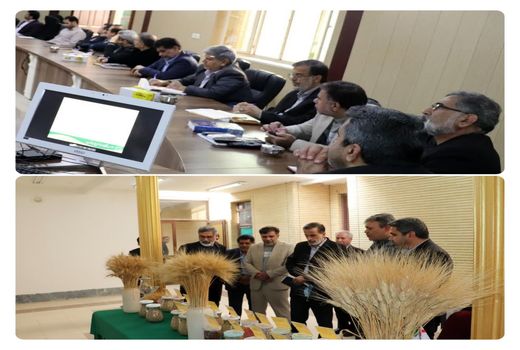 ارتقاء کیفیت نان‌های تولیدی در دزفول