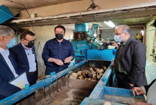 تبیین برنامه های وزارت جهاد کشاورزی در سفر به مرودشت 