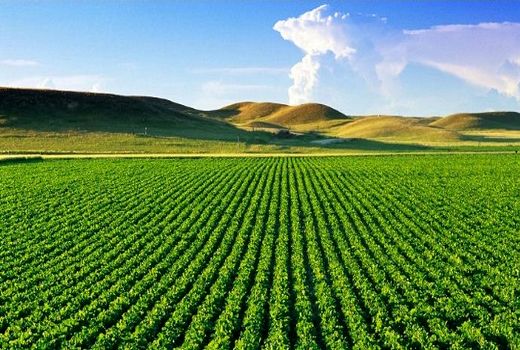نشست هم اندیشی رسانه ملی و جهاد کشاورزی استان قزوین پیرامون شعار سال
