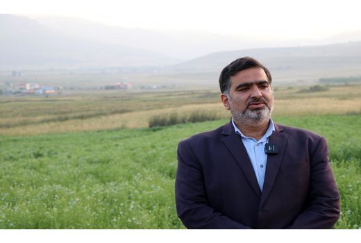 برداشت برنج در مازندران با 10 درصد افزایش همراه خواهد بود