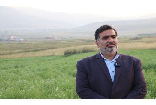 برداشت برنج در مازندران با 10 درصد افزایش همراه خواهد بود