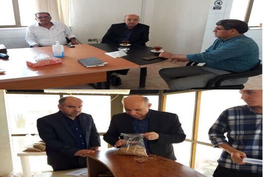 بازدید از مرکز خرید تضمینی گندم در شهرستان آق قلا