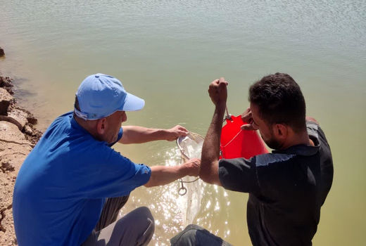 انجام گشت نمونه برداری پروژه ملی مشترک سازمان دامپزشکی و موسسه تحقیقات علوم شیلاتی کشور