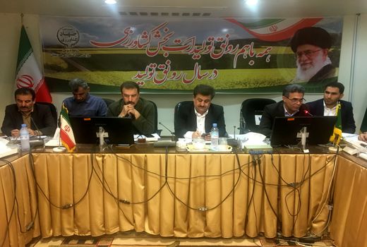 طرح ملی گندم بنیان، بنیانی برای تحول در بخش کشاورزی استان خوزستان