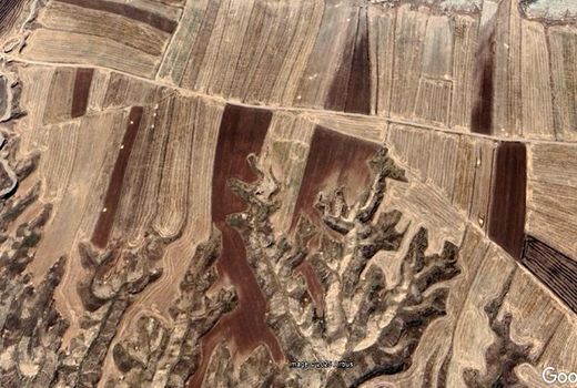 فرسایش آبکندی امنیت غذایی و پایداری کشاورزی را تهدید می‌کند