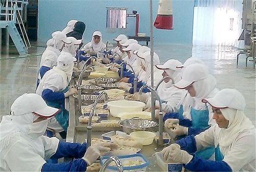 ظرفیت واحدهای صنایع وابسته به کشاورزی استان بوشهر به ۶۴۰ هزار تن رسید