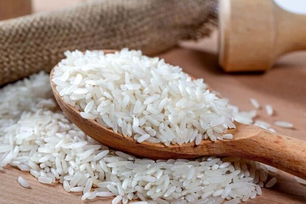 شهرستان میانه قطب تولید برنج در آذربایجان شرقی