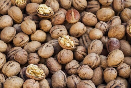 برداشت 330 تن گردو از باغ‌های نی‌ریز
