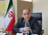 بیش از دو میلیون هکتار از مزارع کشور زیرکشت گندم قرار گرفت