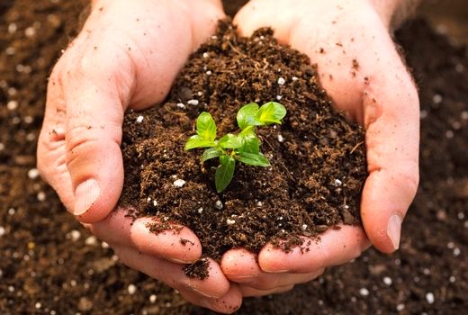 مدیریت پایدار خاک اولویت بخش کشاورزی است