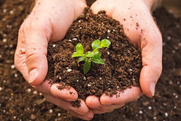مدیریت پایدار خاک اولویت بخش کشاورزی است