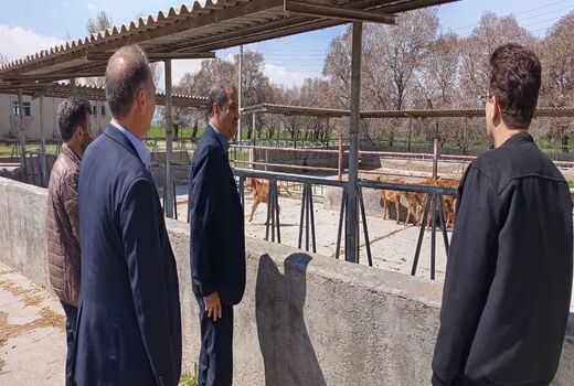 بازدید میدانی از مرکز پشتیبانی گاو نژاد سرابی با محوریت اصلاح نژاد و ارتقای بهداشت
