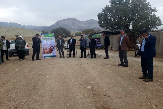 برگزاری سیزدهمین کاروان ترویجی ارتقای بهره وری کشاورزی در استان ایلام