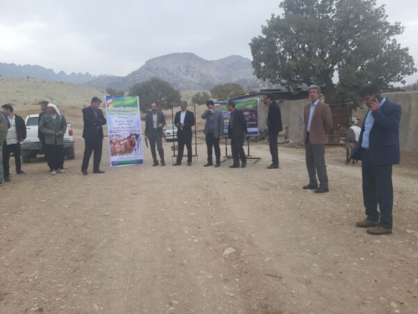 برگزاری سیزدهمین کاروان ترویجی ارتقای بهره وری کشاورزی در استان ایلام