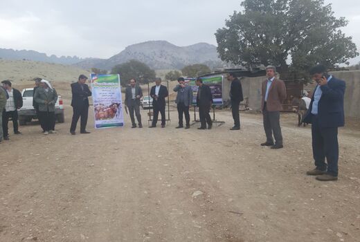 برگزاری سیزدهمین کاروان ترویجی ارتقای بهره وری کشاورزی در استان ایلام