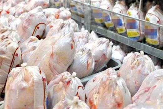 قیمت چند نرخی مرغ در کاشان