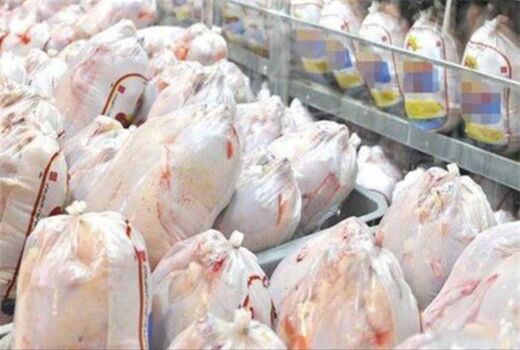 قیمت چند نرخی مرغ در کاشان