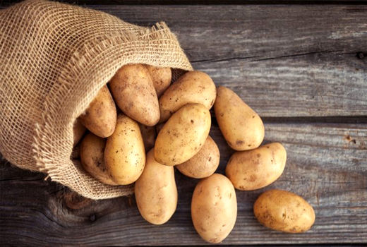 آغاز خرید توافقی محصول سیب‌زمینی مازاد موجود در انبار کشاورزان کردستانی