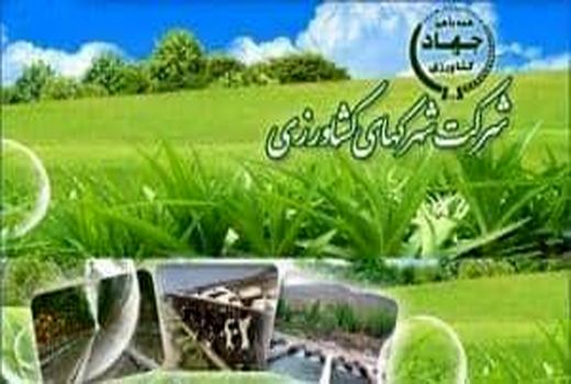 فرآخوان عمومی 13 - 98 دعوت از متقاضیان سرمایه گذاری در مجتمع شهرک های کشاورزی گلخانه ای آذربایجان غربی