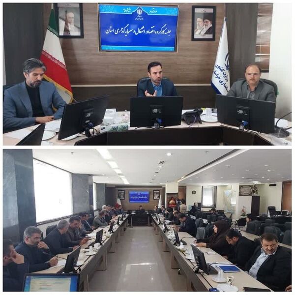اجرایی شدن طرح خرید مزرعه در خراسان جنوبی برای زرشک