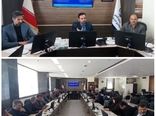 اجرایی شدن طرح خرید مزرعه در خراسان جنوبی برای زرشک