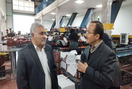 ۳۳۰ هزار تن سیب صنعتی در آذربایجان‌غربی فرآوری شد