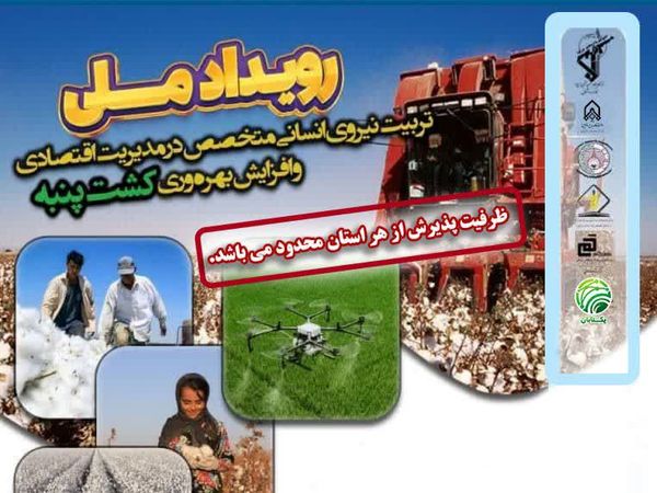 دوره تخصصی پنبه با هدف آموزش و توانمندسازی کارشناسان برگزار میشود