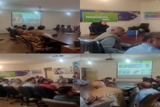 آشنایی باغداران هفتکلی با آفت سر خرطومی حنایی