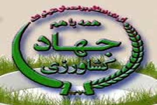 بازدید از گلخانه یک  هکتاری  در شهرستان نرماشیر