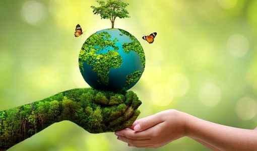 تهیه و تدوین نقشه راه جامع آموزش، ترویج و مشارکت‌های مردمی در منابع طبیعی؛ گامی نو در حفاظت از سرمایه ملی