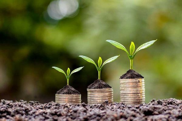 ابزارهای نوین تأمین مالی می‌توانند امنیت غذایی کشور را تقویت کنند