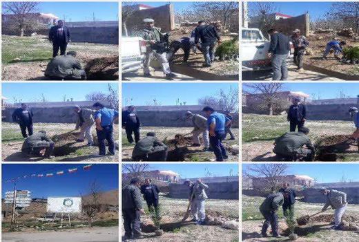 غرس 120 اصله نهال در آلیکوه